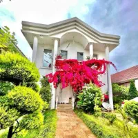 کد9-کاخ-گل-مبله-باسندو3کنتوراختصاصی-کیابسر