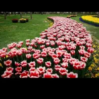 راهنمایی خرید خانه