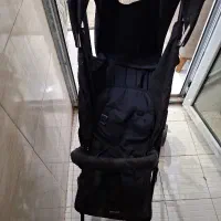 کالسکه عصایی