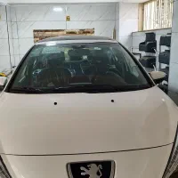 207 ارتقا پانا خشک