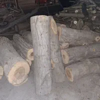 چوب گردوخشک طبیعی