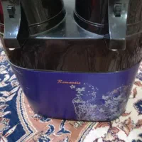 فلاکس دوقلو
