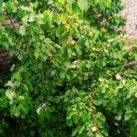 خانه ویلایی دو طبقه کنار خیابان اصلی