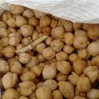 نخود دیم درشت و تمیز کیلویی ۱۸۰