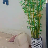 درخت بامبو مصنوعی|گل مصنوعی|رشت, گلسار|دیوار