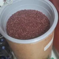 استند حبوبات