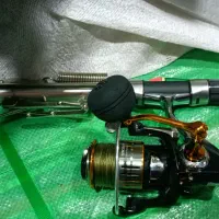 ماهیگیری|ماهیگیری|کرمانشاه, |دیوار