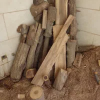 چوب گردو گرزم چنار خشک خشک