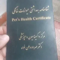 سک خونکی|سگ|چهاردانگه (تهران), |دیوار