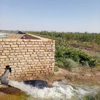 باغ-پسته-10ساله