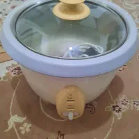 پلوپز برقی ۱۲ نفره