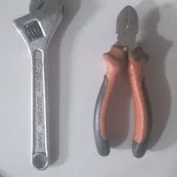 فرانسه و سیم چین