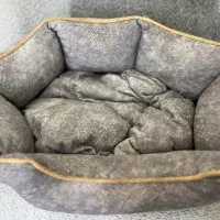جای خواب سگ و گربه