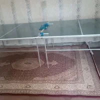 میز پینگ پنک نو