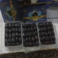 خرید وفروش خرمای لوکس