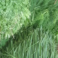سبزی‌‌خرشت‌وماهی|عمده‌فروشی|برازجان, |دیوار