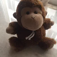 میمون عروسکی خارجی