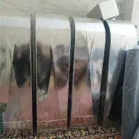 کانال سازی زنگنه
