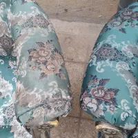 قالی شویی و مبل شویی  محله