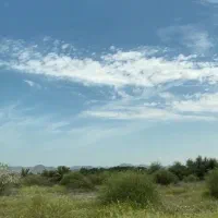 زمین باغی برنطین