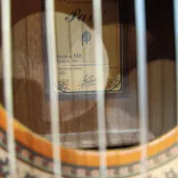 فروش عمده و تکی گیتار پارسی