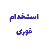 فروشنده غیرحضوری فوری