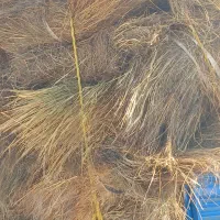 مقداری کاه بسته بندی