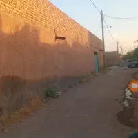 حیات-500متری-باانواع-درختان-میوه