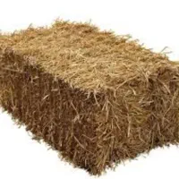 پرس سوفال
