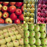 مشاوره تخصصی تغذیه باغ و مزرعه