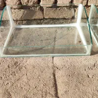 جا اجیل وخشکبار|ظروف سرو و پذیرایی|الشتر, |دیوار