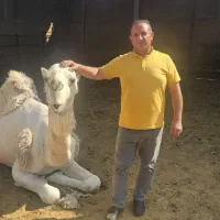 خرید فروش شتر ریز درشت کشتاری|حیوانات مزرعه|شیراز, علی آباد|دیوار