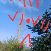 فروش سیم‌کارت‌