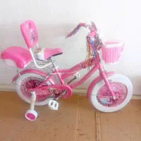 اورتگا‌بچه‌گانه|دوچرخه، اسکیت، اسکوتر|گنبد کاووس, |دیوار