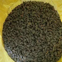 مویز سیاه گوشتی دشمن زیاری|خوردنی و آشامیدنی|شیراز, قصرالدشت|دیوار