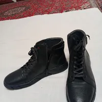 نیم پوت نو
