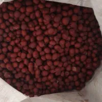عناب خشک امسالی|خوردنی و آشامیدنی|مشهد, شهرک مهر آباد|دیوار