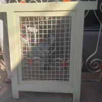 پنجره آهنی سالم وتمیز