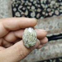 سنگ شجر معدنی قدیمی