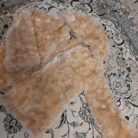 یک عدد کت کوتاه دخترونه بافت|لباس|کرج, چهارصد دستگاه|دیوار