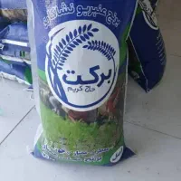 برنج عنبر بو برکت از تولید بمصرف با ارسال رایگان