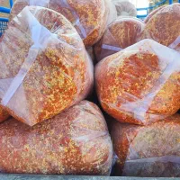 تفاله گوجه جو علوفه ذرت کاه یونجه چغندر میش بره