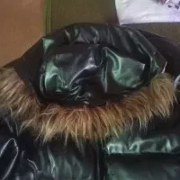 کاپشن مردانه|لباس|شبستر, |دیوار