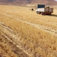 موضوع-اجاره-زمین