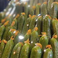 توزیع میوه مستقیم از میدان تره بار تهران|خوردنی و آشامیدنی|تهران, میدان میوه و تره‌بار مرکزی|دیوار