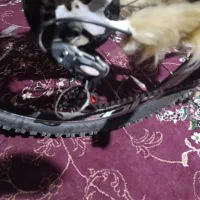 دوچرخه 26|دوچرخه، اسکیت، اسکوتر|خرمشهر, |دیوار