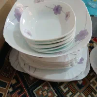 ظروف پذیرای