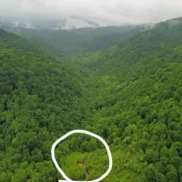 کلبه-جنگلی-باپک-هتلی