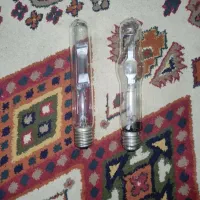 لامپ خیاری