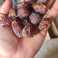 خرمای بریم